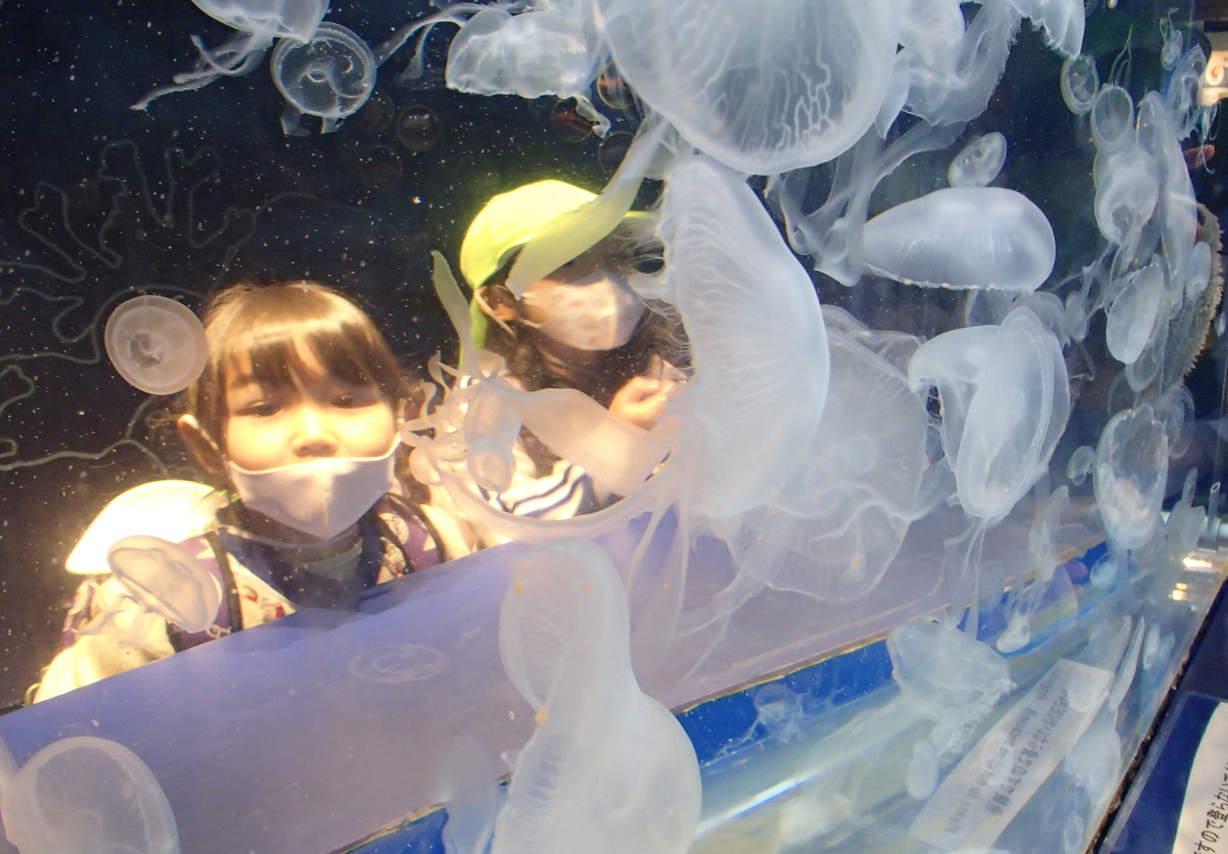 明照幼稚園の新園舎