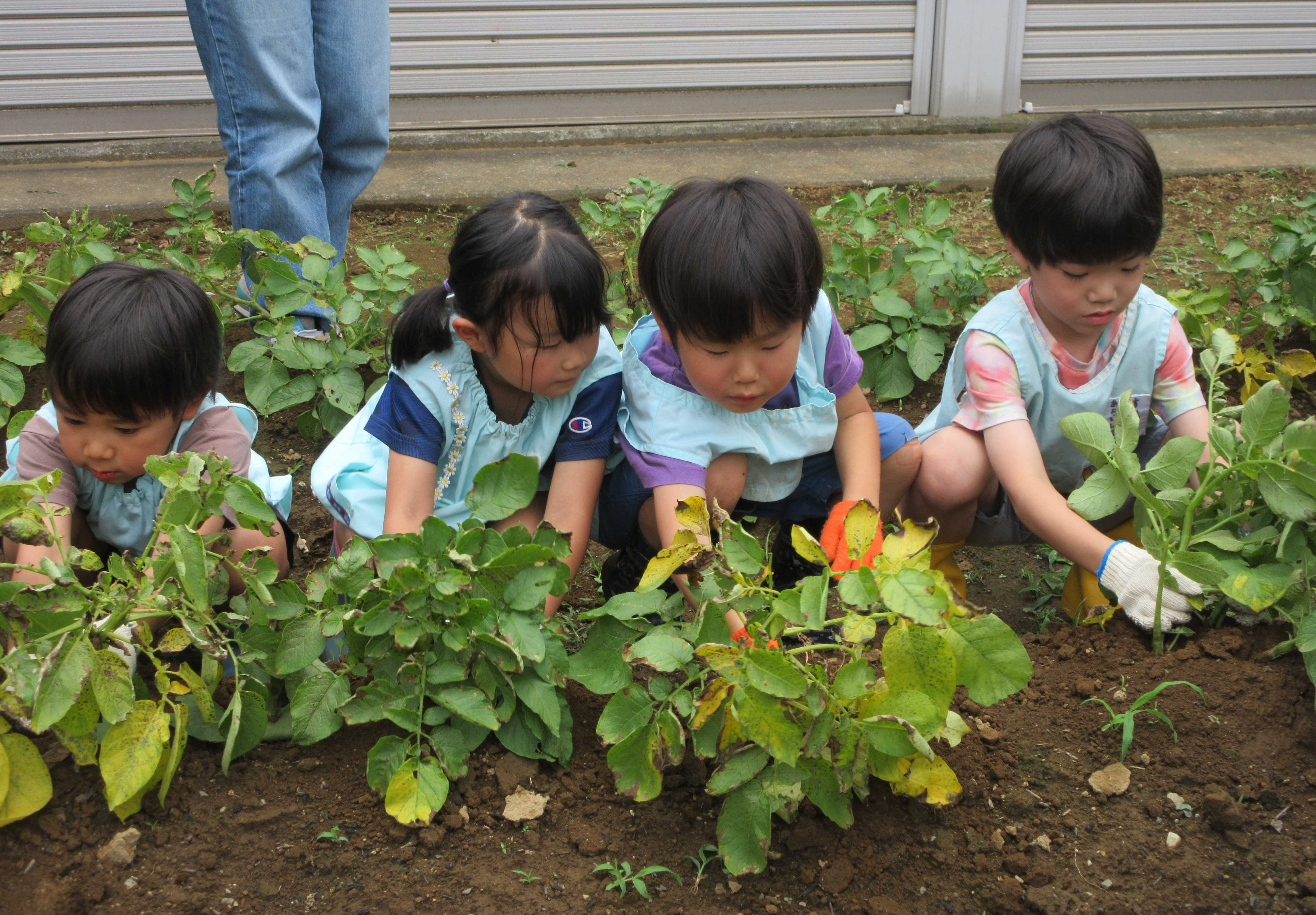 明照幼稚園の新園舎